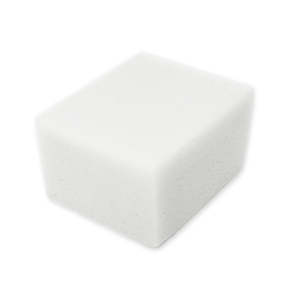 Brother DTRX Flushing Foam