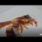 Système Brother GTX Pro d'impression directe sur broderie (DTE)
