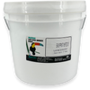 EasyPrint Blanc 301